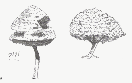 fugly trees