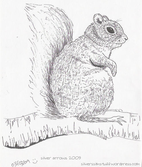 squirrel pen and ink