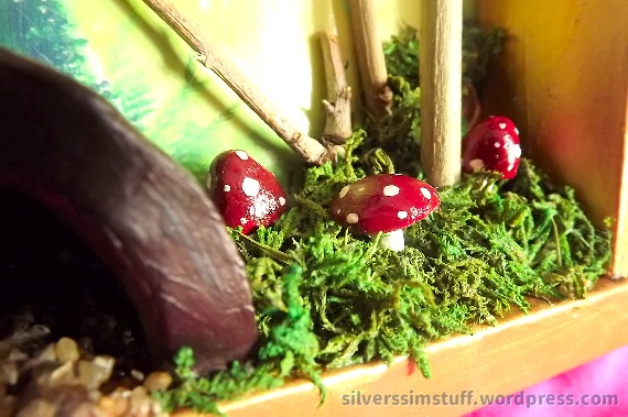 shadowbox mushrooms