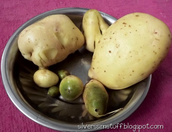 2021-budgie-spuds3