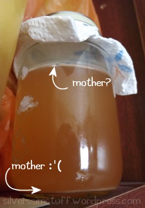 cidervinegar