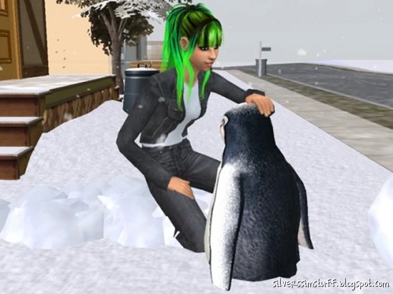 seasons6